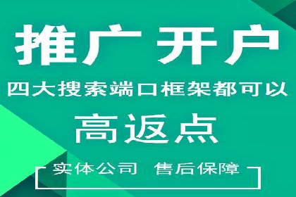 百度广告推广实战案例解析