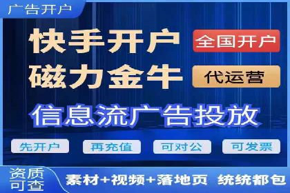 网络营销新篇章：竞价推广案例分析